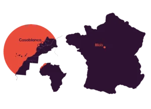 Services et Conseils en Informatique