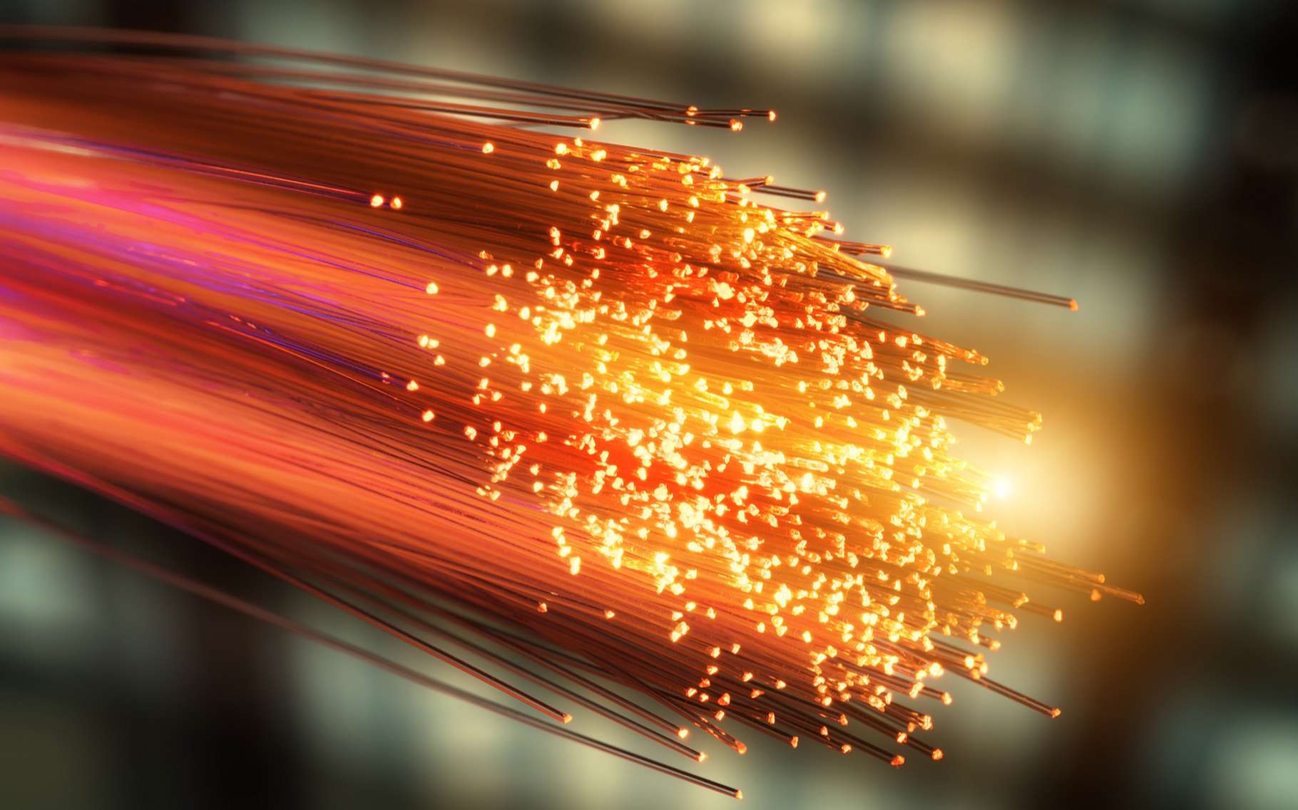 Nouveau cap pour l'Internet guinéen : Une connexion fibre optique avec la Sierra Leone en vue fibre optique