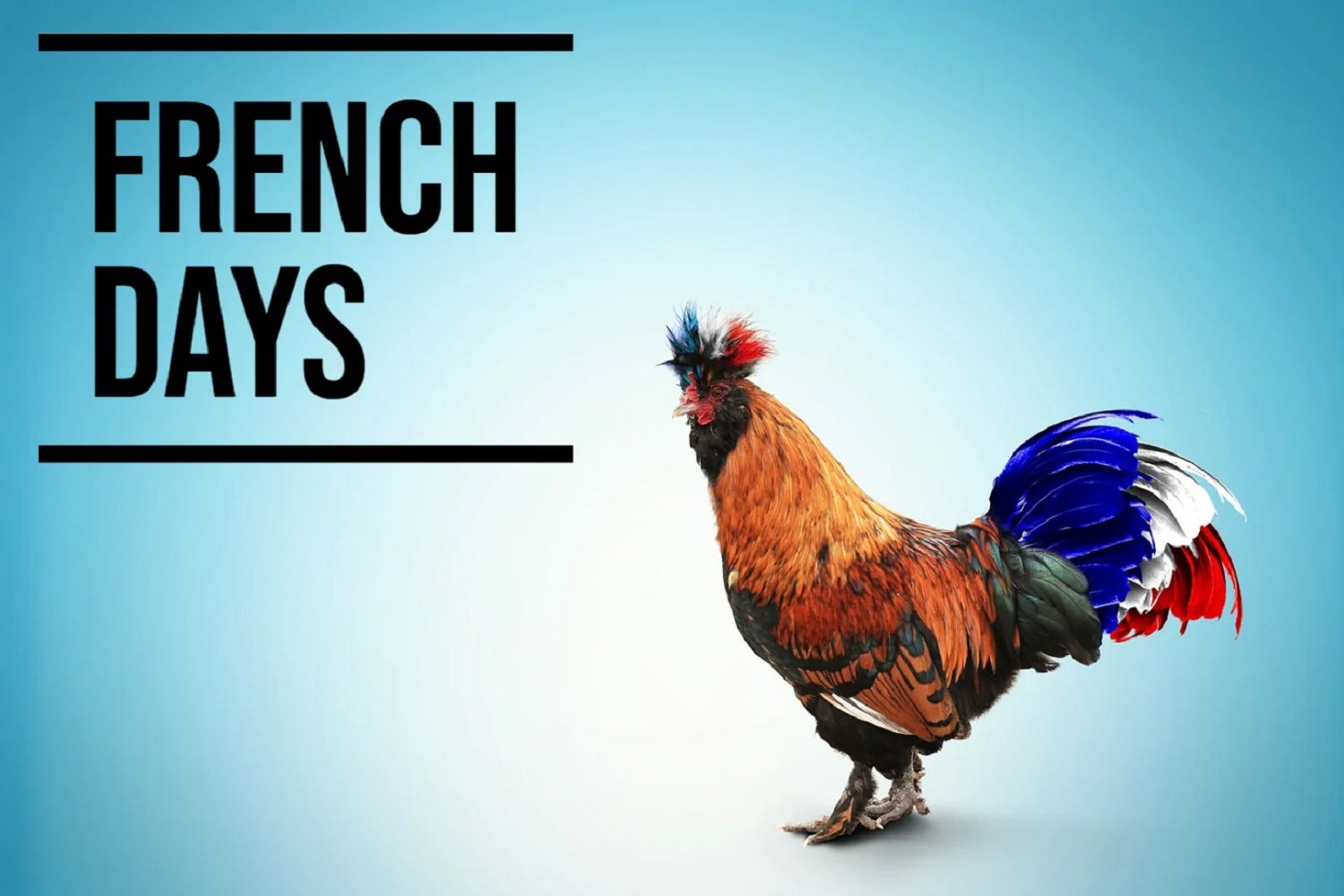 Dates, infos, et quelles promos attendues pour l'édition de l'automne French Days
