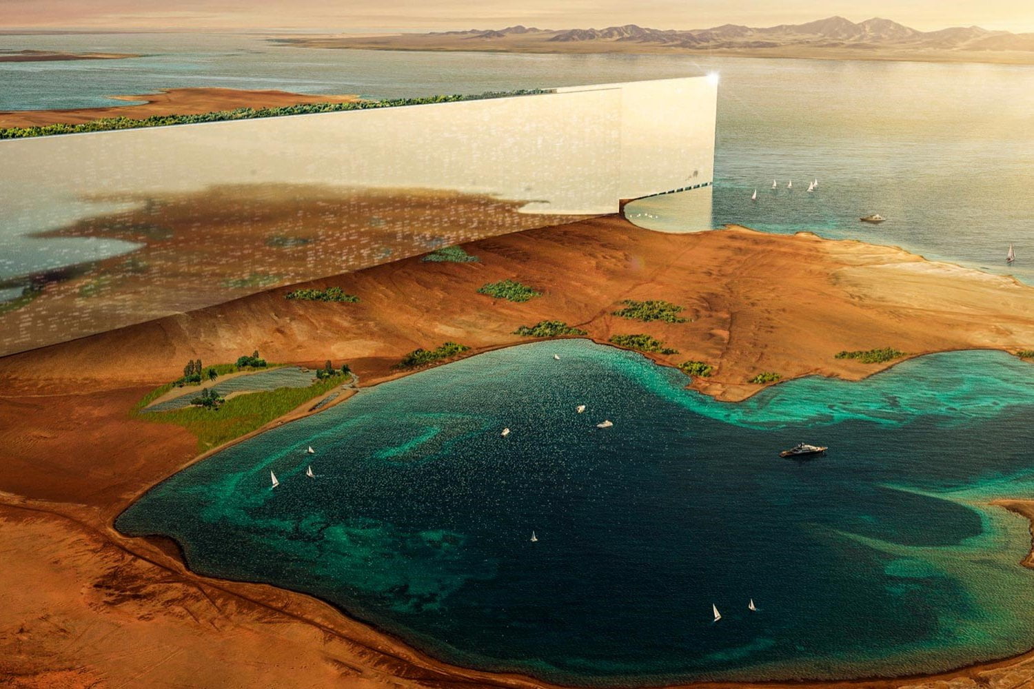 En Arabie saoudite, The Line représente une « menace inédite » pour les oiseaux The Line NEOM