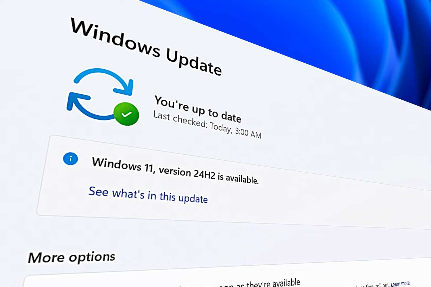 Votre vieux PC est-il compatible avec la dernière mise à jour ? Windows 11 2024 Update