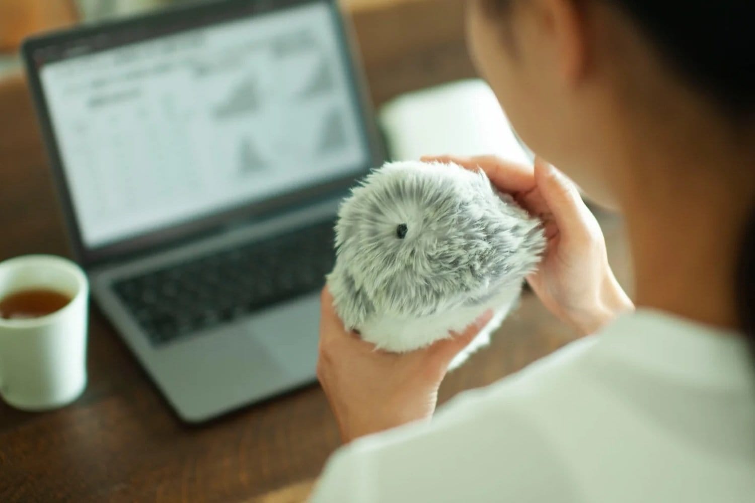 Le Moflin de Casio, une peluche robotique aux émotions dictées par l'IA moflin