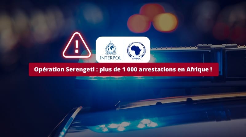 1 000 personnes arrêtées en Afrique ! Cybersecurite Operation Serengeti plus de 1 000 arrestations en Afrique