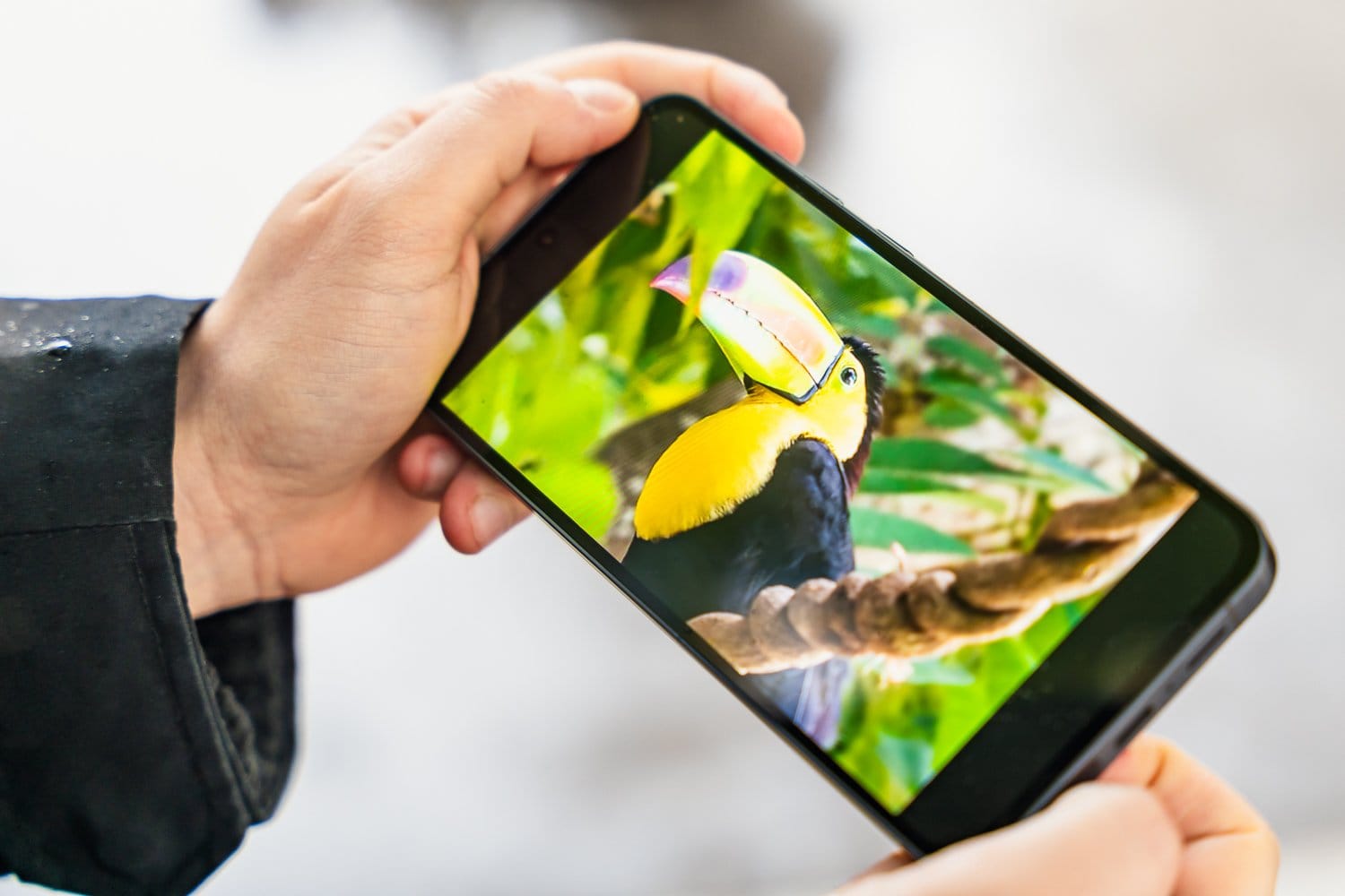 lancé à 500€ en mars, le meilleur mid-range de Samsung est bradé à -49% 🔥 ecran samsung galaxy a55
